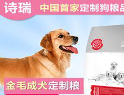 寵物用品加盟排行榜與加盟費(fèi)分析 兼論數(shù)碼類寵物產(chǎn)品發(fā)展趨勢(shì)